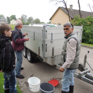 20130517 wiederansiedlungsprojekt bachforelle 21 12347b4b