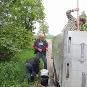 20130517 wiederansiedlungsprojekt bachforelle 35 7ac0f982