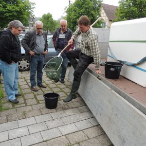 20130517 wiederansiedlungsprojekt bachforelle 4 788c510b