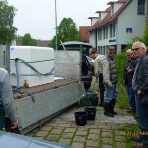 20130517 wiederansiedlungsprojekt bachforelle 46 df1cfa0f