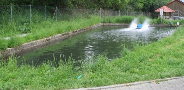 20130517 wiederansiedlungsprojekt bachforelle 48 c46d2e06