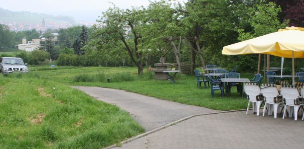 20130517 wiederansiedlungsprojekt bachforelle 51 42e46c22