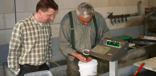 20130517 wiederansiedlungsprojekt bachforelle 52 dd4b3e27