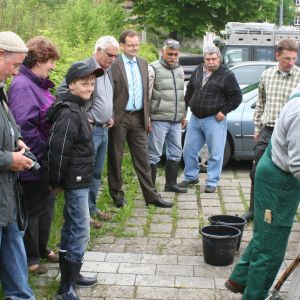 20130517 wiederansiedlungsprojekt bachforelle 59 c16731cc