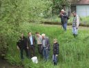 20130517 wiederansiedlungsprojekt bachforelle 65 94e969ab