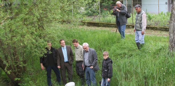 20130517 wiederansiedlungsprojekt bachforelle 65 94e969ab