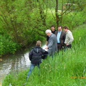 20130517 wiederansiedlungsprojekt bachforelle 71 6ae37ef8