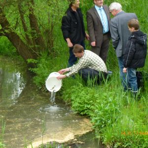 20130517 wiederansiedlungsprojekt bachforelle 74 728b0a8a