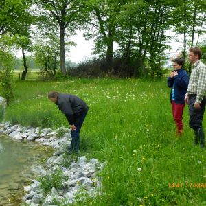 20130517 wiederansiedlungsprojekt bachforelle 76 7a07f5f7