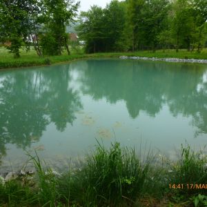 20130517 wiederansiedlungsprojekt bachforelle 77 0305368c