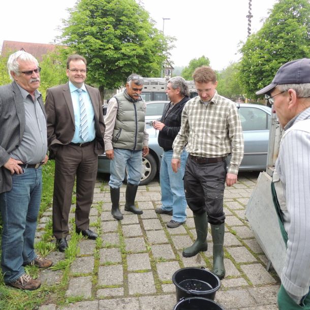 20130517 wiederansiedlungsprojekt bachforelle 8 e1505bde