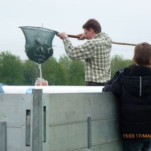 20130517 wiederansiedlungsprojekt bachforelle 85 6ecbaec2