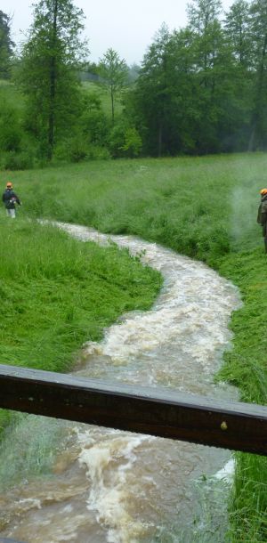 20130601 hochwasser juni 2013 1 5e87b901