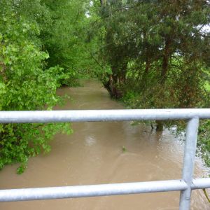 20130601 hochwasser juni 2013 3 e3c99295