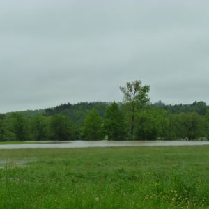 20130601 hochwasser juni 2013 6 4b162576
