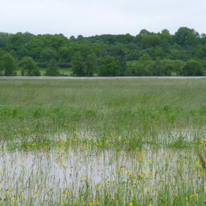 20130601 hochwasser juni 2013 7 7bb4d745