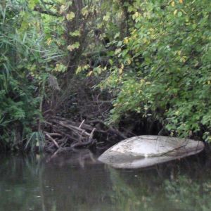 20131005 bootsbergeaktion jagst 2 6340e581