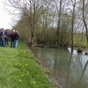 20140412 biberseminar fischerei hegebereich neckar vii 11 6a190de8