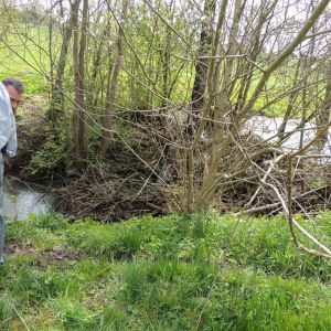 20140412 biberseminar fischerei hegebereich neckar vii 12 69bb65b7