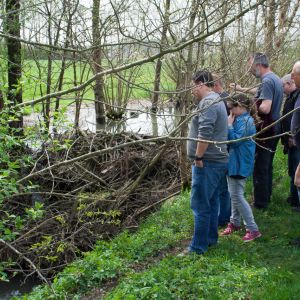 20140412 biberseminar fischerei hegebereich neckar vii 31 f2539336