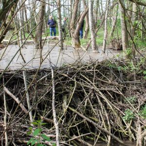 20140412 biberseminar fischerei hegebereich neckar vii 34 f21a68d5