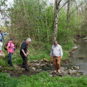 20140412 biberseminar fischerei hegebereich neckar vii 37 e534bf4a
