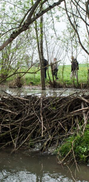 20140412 biberseminar fischerei hegebereich neckar vii 41 6ba5abb9