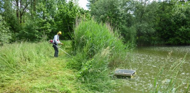 20140531 arbeitseinsatz 10 16546089