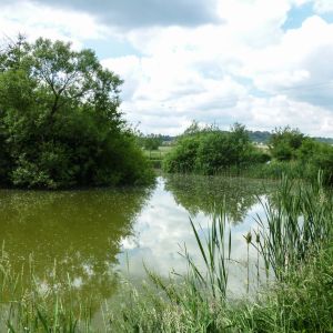 20140531 arbeitseinsatz 12 70132c72