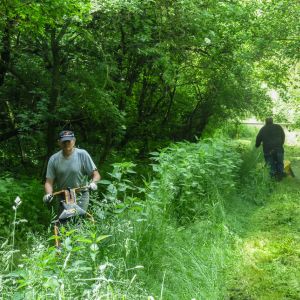 20140531 arbeitseinsatz 13 2262a7f0