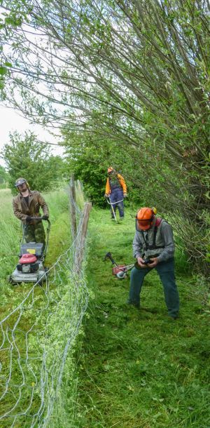 20140531 arbeitseinsatz 6 1f06b518