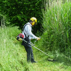 20140531 arbeitseinsatz 9 59a9c141