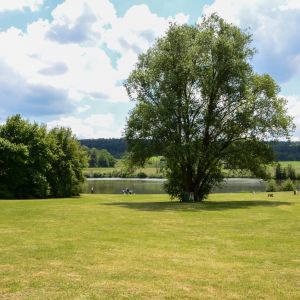 20140531 jugend freundschaftsangeln stimpfach 19 c9578b5e