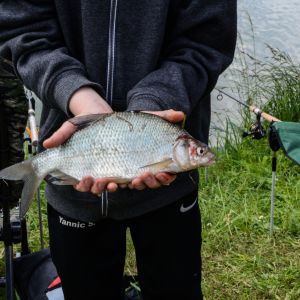 20140531 jugend freundschaftsangeln stimpfach 8 64c6cd05