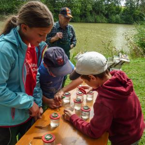 20140816 kinderferienprogramm tiefensee 2 551b887a