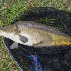 20140816 kinderferienprogramm tiefensee 32 4592e85c