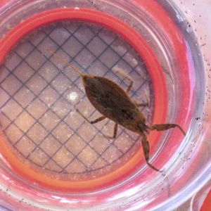 20140816 kinderferienprogramm tiefensee 37 7c0b1890