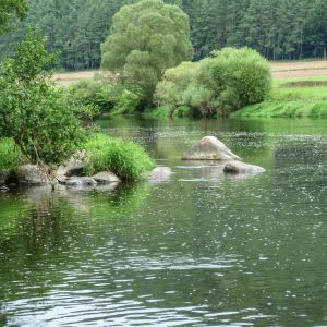 201408   angelausflug regen 11 9ef4a7e8