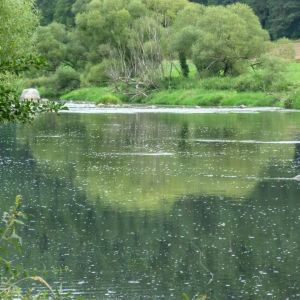 201408   angelausflug regen 16 168edd48