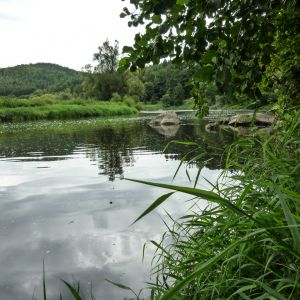 201408   angelausflug regen 19 8fe5c62e