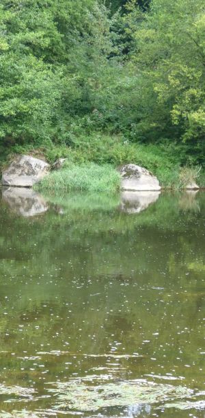 201408   angelausflug regen 37 f2ddfb4b