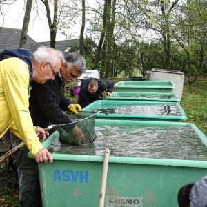 20141025 tiefensee ablassen 59 ebe9980f