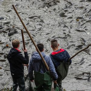 20141025 tiefensee ablassen 83 e1888674