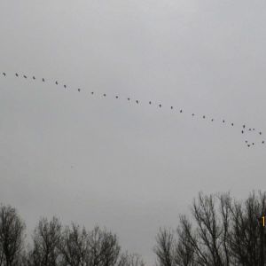 20141115 biberseminar vfg 13 b1b63dd1