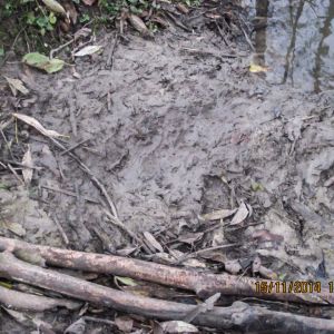 20141115 biberseminar vfg 15 62b1942a