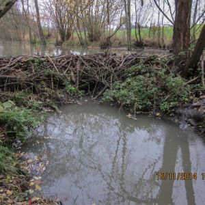 20141115 biberseminar vfg 20 6e693311