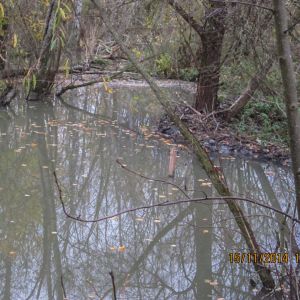 20141115 biberseminar vfg 25 601d0210