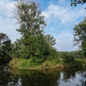 2014     jagst 1 c49d7bfa