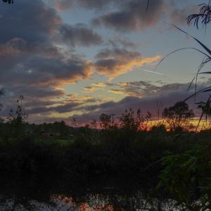 2014     jagst daemmerung 1 18668d22