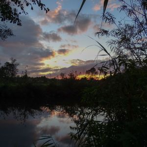 2014     jagst daemmerung 2 691e1e99